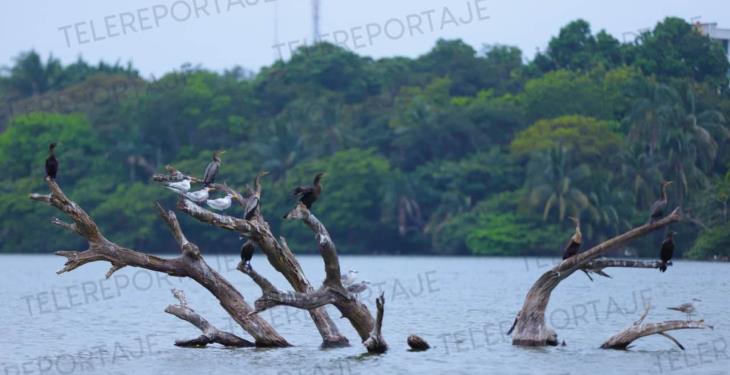 Pese a clausura y a 40 días, daño por relleno en laguna de Las Ilusiones no ha sido reparado