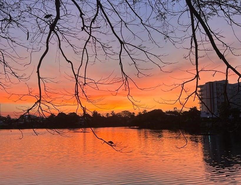 Maravillas del Edén