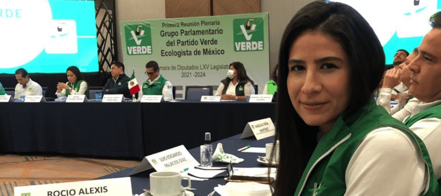 Expulsa PVEM a diputada Alexis Gamiño por votar contra la Reforma Eléctrica