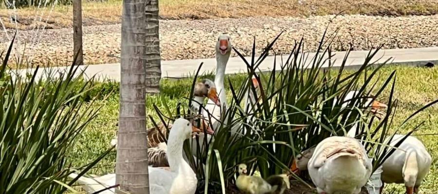 La refinería Olmeca tiene nuevos inquilinos