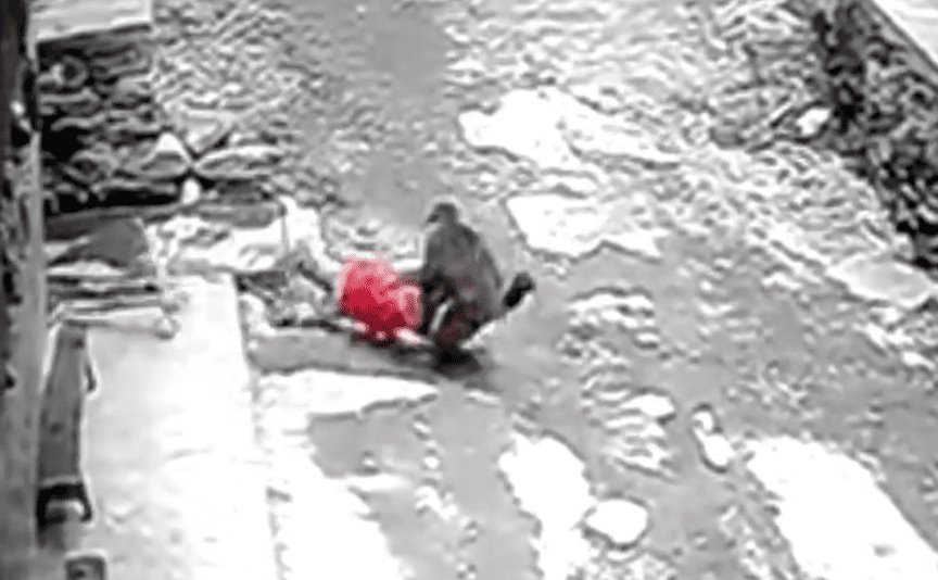 Mono ataca e intenta llevarse a niña en China