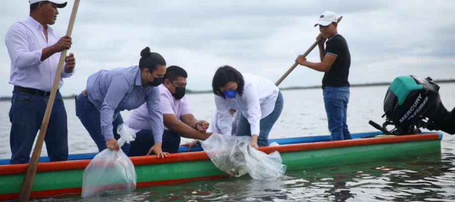 Libera Centro 250 mil crías de mojarra tilapia en sistema lagunar Ismate y Chilapilla