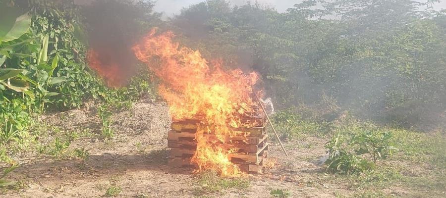 Incinera FGR droga y destruye máquinas tragamonedas