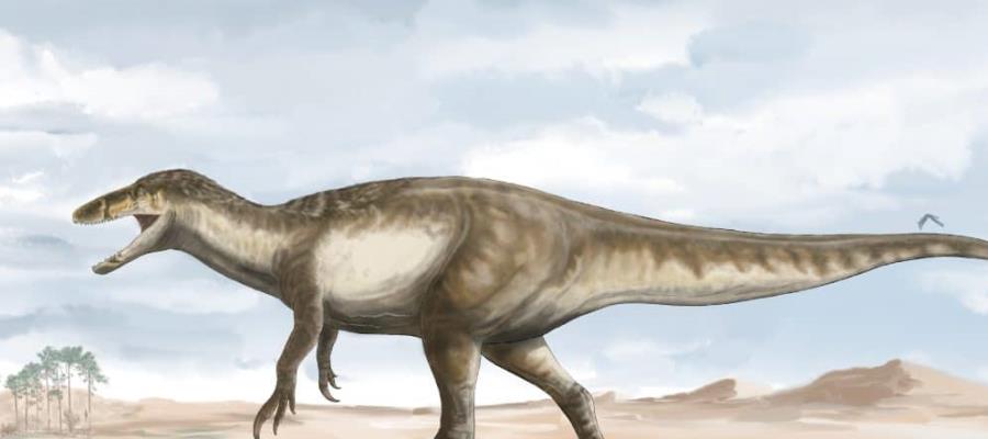 Hallan paleontólogos argentinos restos del dinosaurio “raptor” más grande del mundo