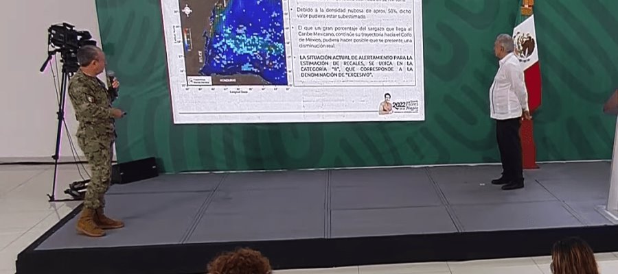 Reconoce SEMAR alarma por presencia de sargazo en el Caribe mexicano Reconoce SEMAR alarma por presencia de sargazo en el Caribe mexicano