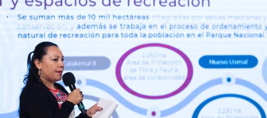 Reconoce Semarnat que solo tres tramos del Tren Maya cuentan con manifiestos de impacto ambiental