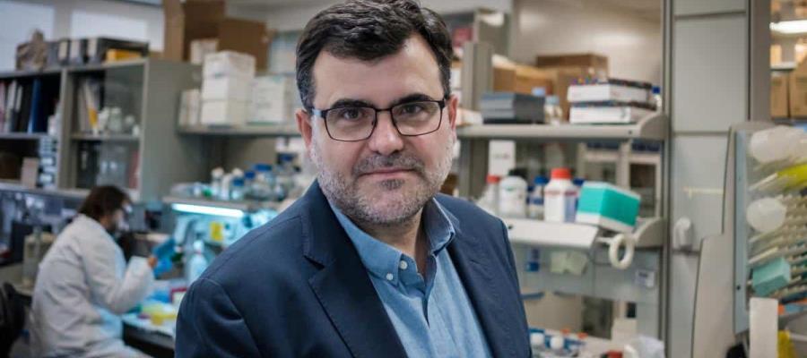 Descubren primer anticuerpo que previene tumores cancerígenos y la metástasis Descubren primer anticuerpo que previene tumores cancerígenos y la metástasis