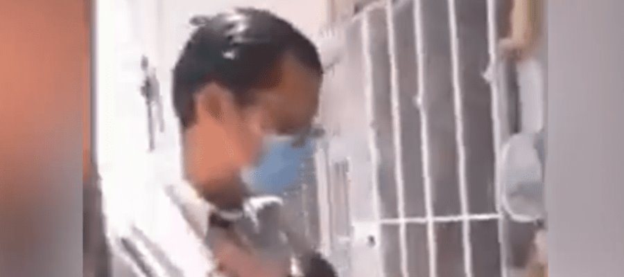 VIDEO| Acusan a trabajador de CFE de matar con un desarmador a una perrita, en Puebla