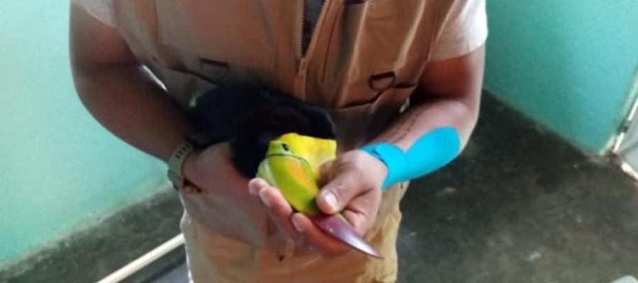 Disminuye número de inspectores federales de Profepa en el país