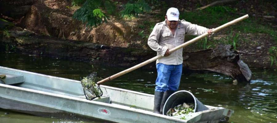 Prometen avance del 50% en rescate de la Laguna de las Ilusiones al terminar 2022