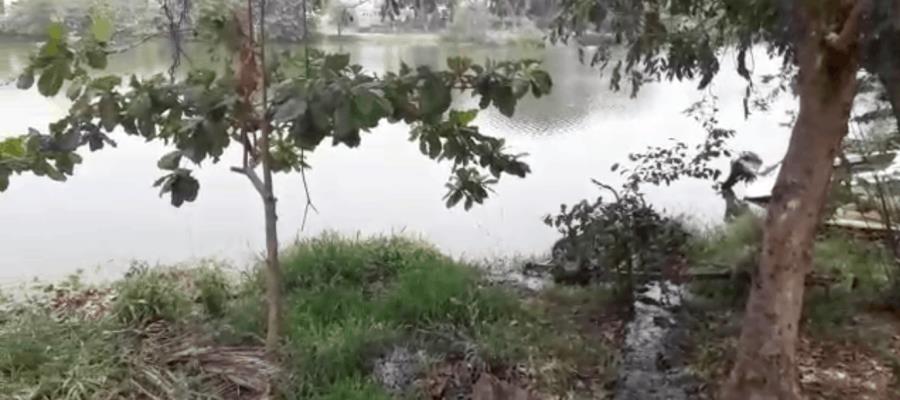 Licita Centro obra para evitar descarga de aguas negras a laguna de Las Ilusiones