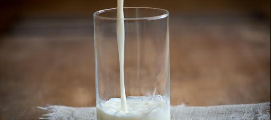 Detecta Profeco leches que no son de vaca; contienen grasa vegetal