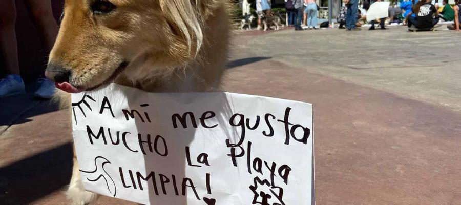 Exhiben incompetencia de Profepa para sancionar dragado sin permisos ambientales en Ensenada