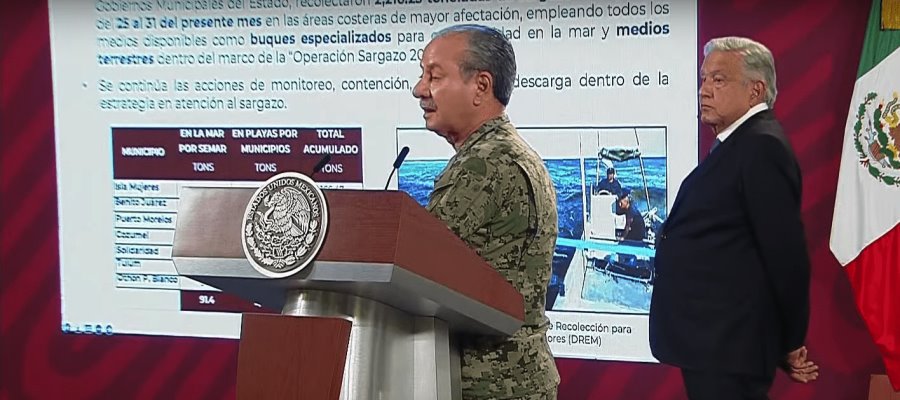 Se incrementa sargazo en la península, reconoce Semar