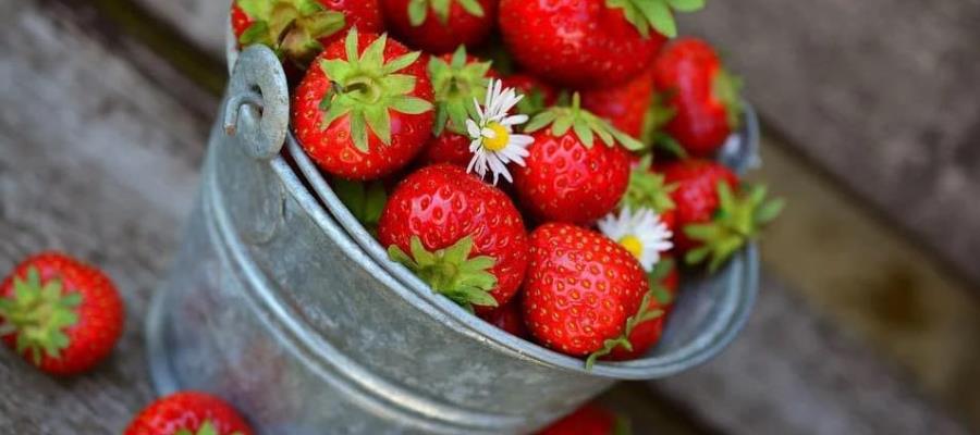 Investigan brote de hepatitis A en EE.UU. y Canadá relacionado con fresas mexicanas