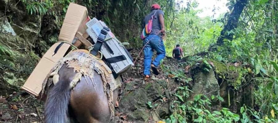 Estragos por huracán ‘Agatha’ complica entrega de paquetes electorales en Oaxaca: INE