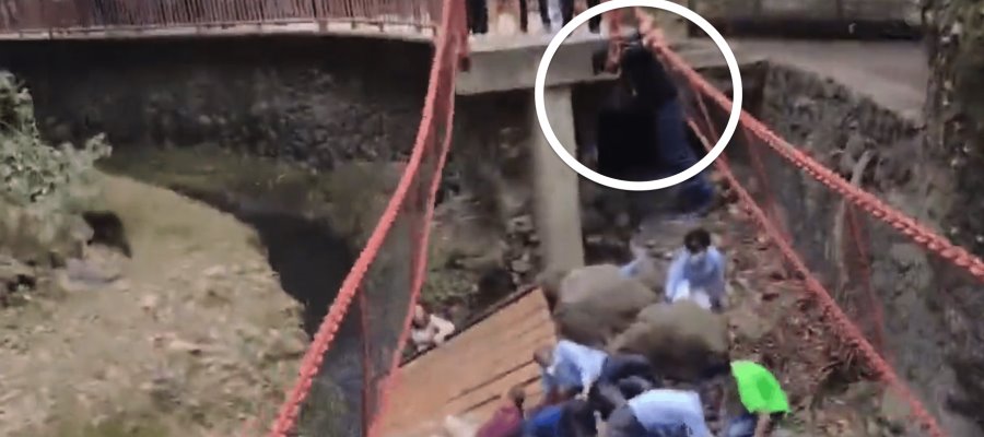 Alguien brincó: Narran colapso de puente colgante en Cuernavaca, Morelos