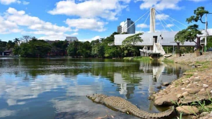 Tabasqueños podrán diseñar señalética preventiva para la laguna de Las Ilusiones