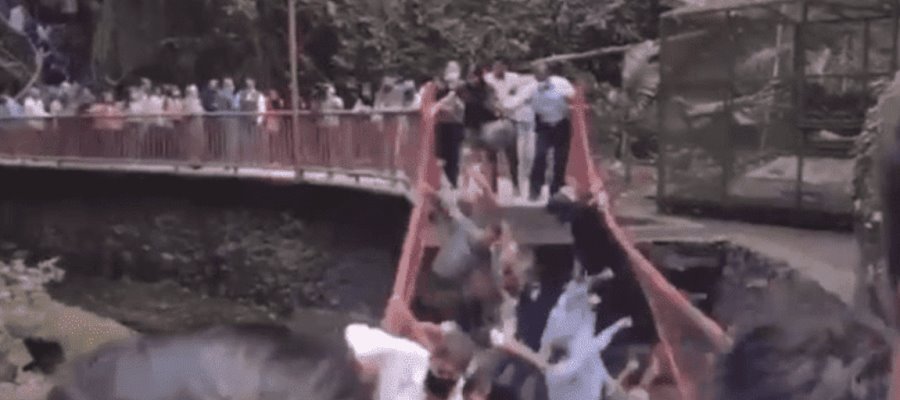 Cae puente colgante reinaugurado en parque de Cuernavaca