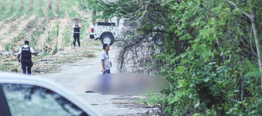 Hallan 7 cuerpos sin vida en Aquismón, San Luis Potosí