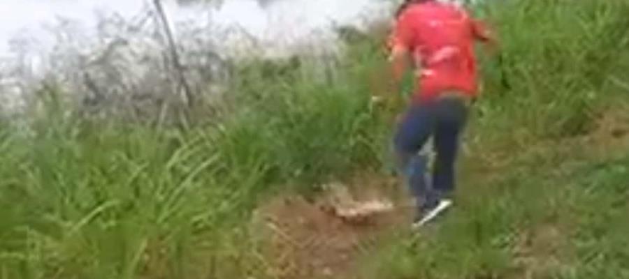 [VIDEO] Ataca cocodrilo a hombre en Gaviotas Sur