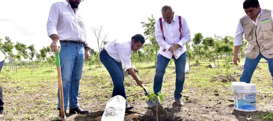 Desde Tabasco dan banderazo a Jornada Nacional de Siembra 2022