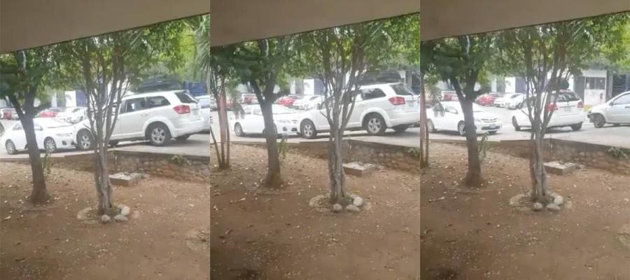 [VIDEO] Presunta directora del CBTis 32 embiste coche al interior del plantel