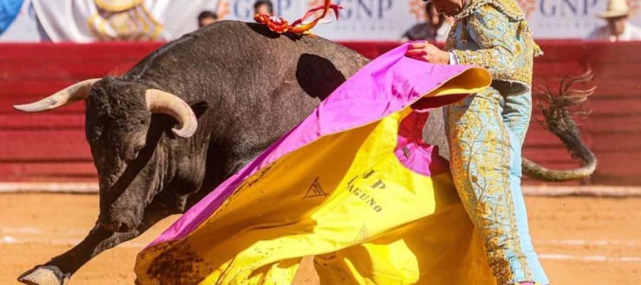 Considera SCJN que corridas de toros y peleas de gallos no son patrimonio cultural