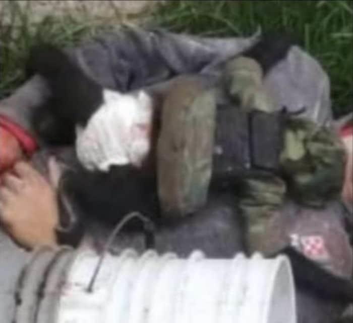 Mono araña vestido de sicario muere en enfrentamiento en Texcaltitlán, Edomex