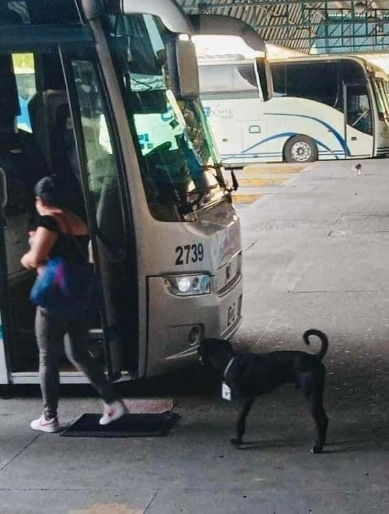 imagen-recuadro imagen-recuadro