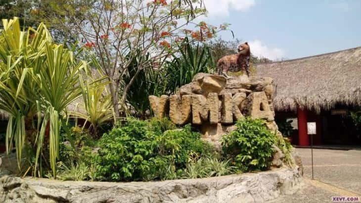 Lanzan consulta para definir logo del Yumká