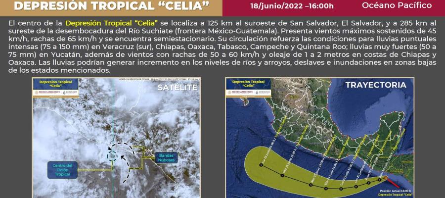 Tormenta tropical “Celia” se convertirá en huracán prevé el SMN