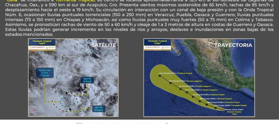 ‘Celia’ se intensifica a tormenta tropical en el Pacífico