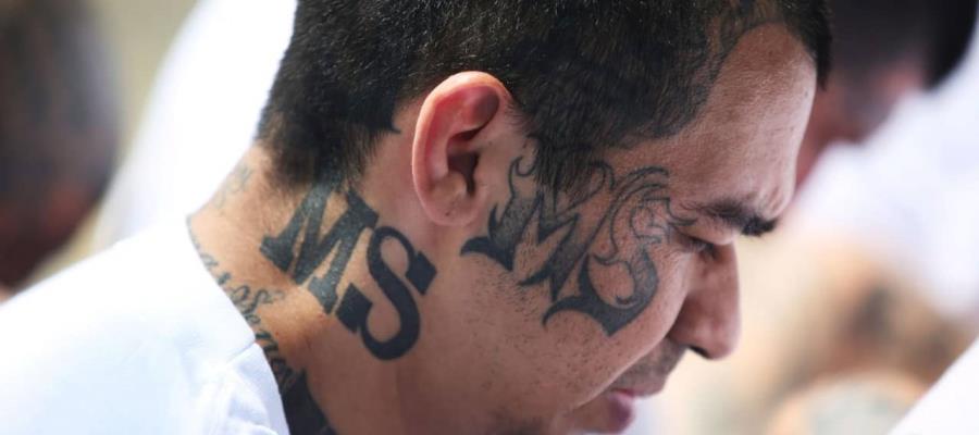 Líderes de la Mara Salvatrucha huyeron de El Salvador a México: Gobierno de Bukele