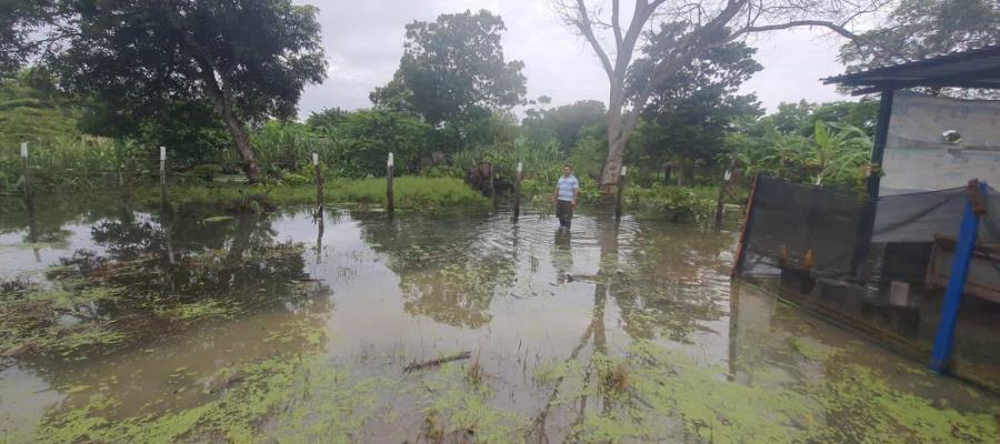 Despiertan entre el agua 400 familias en Paso Real por tormenta Celia