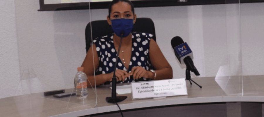 Avala INE a Elizabeth Nava como nueva consejera presidenta del IEPCT Avala INE a Elizabeth Nava como nueva consejera presidenta del IEPCT