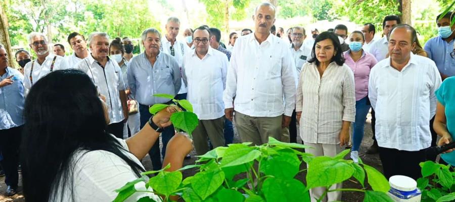 Firma Gobierno de Tabasco convenio con empresa para la reforestación del estado
