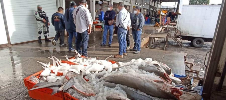 Aseguran 800 kg de carne de tiburón en CDMX