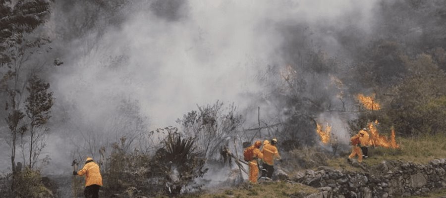 Combaten incendio forestal en Machu Picchu 