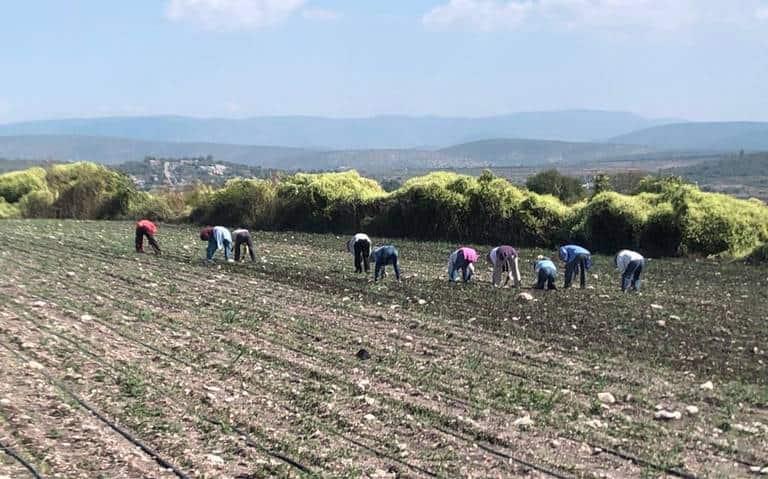 UNTA denuncia rezagos agrarios en México