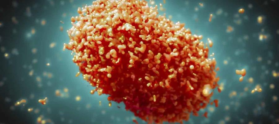 Acumula México 27 casos confirmados de viruela símica Acumula México 27 casos confirmados de viruela símica