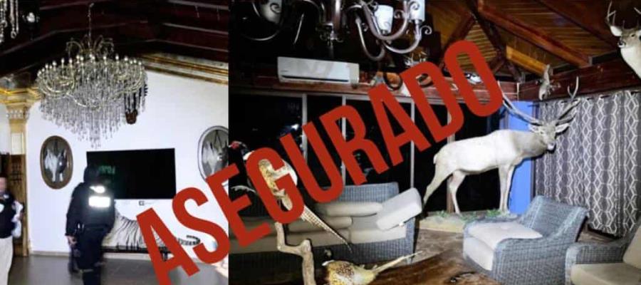 [VIDEO]  Aseguran lujosas propiedades de La Familia Michoacana en Edomex