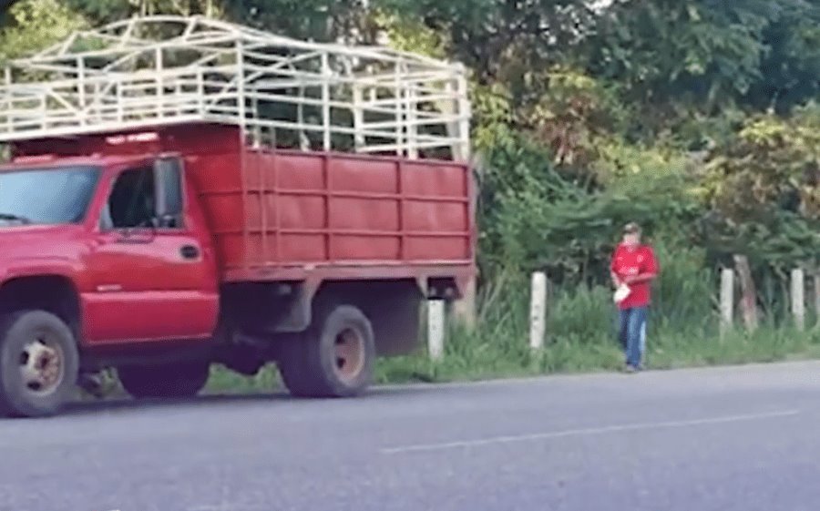 [VIDEO] “¡Te tengo grabado!” Exhiben a hombre abandonando perros en la carretera Río Viejo-La Isla