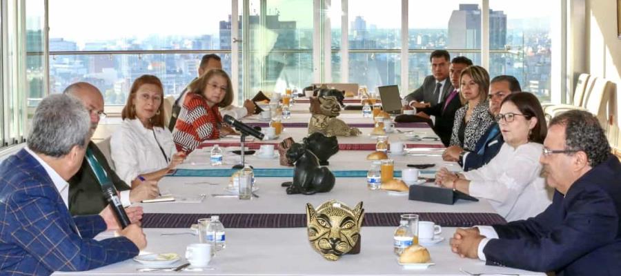 Prepara Gobierno de México defensa de los intereses en el tema energético: SRE