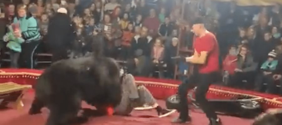[VIDEO]  Oso ataca a su domador en función de circo