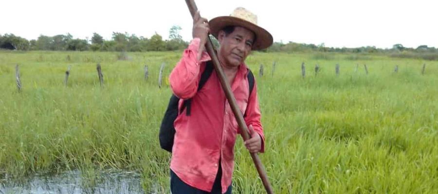 Desfogue de presas, nueva plaga que acaba con cultivos y ganado en Oxiacaque