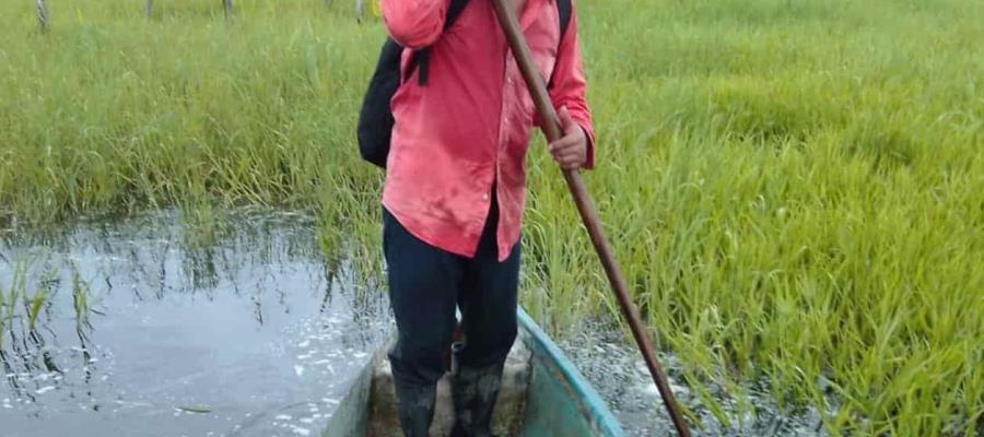 Dice Conagua que descargas de Peñitas afectará zonas bajas de plantíos en Nacajuca