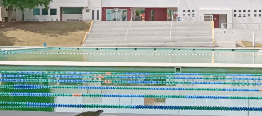 Cierran alberca pública de la Ciudad Deportiva por falta de productos para tratar el agua