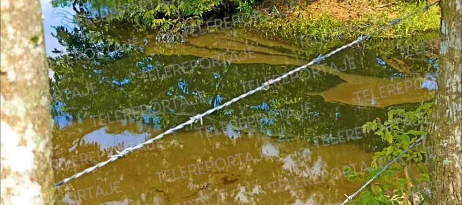 “Ya van dos”: Diócesis de Tabasco pide a Pemex atender contaminación por hidrocarburo en la entidad