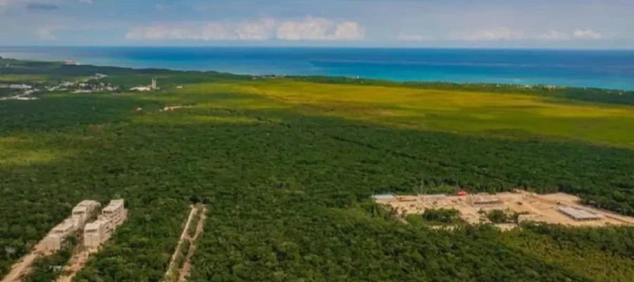 Declaran zona Jaguar, en Tulum, QR como área natural protegida